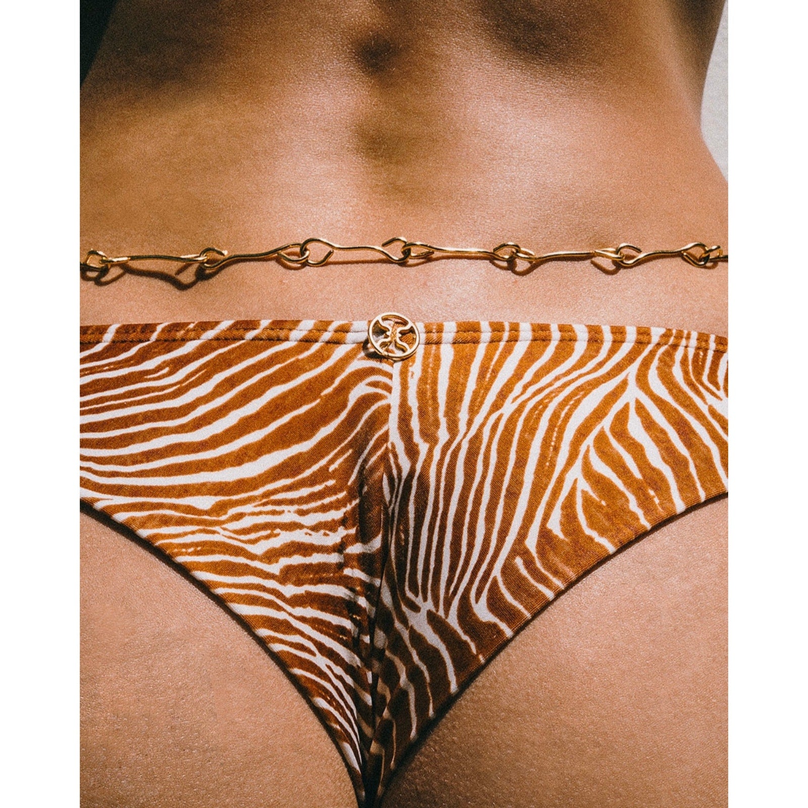 ViX Paula Hermanny ViX Swimwear Maza Basic Bikini Bottom in Multi | Alternate view