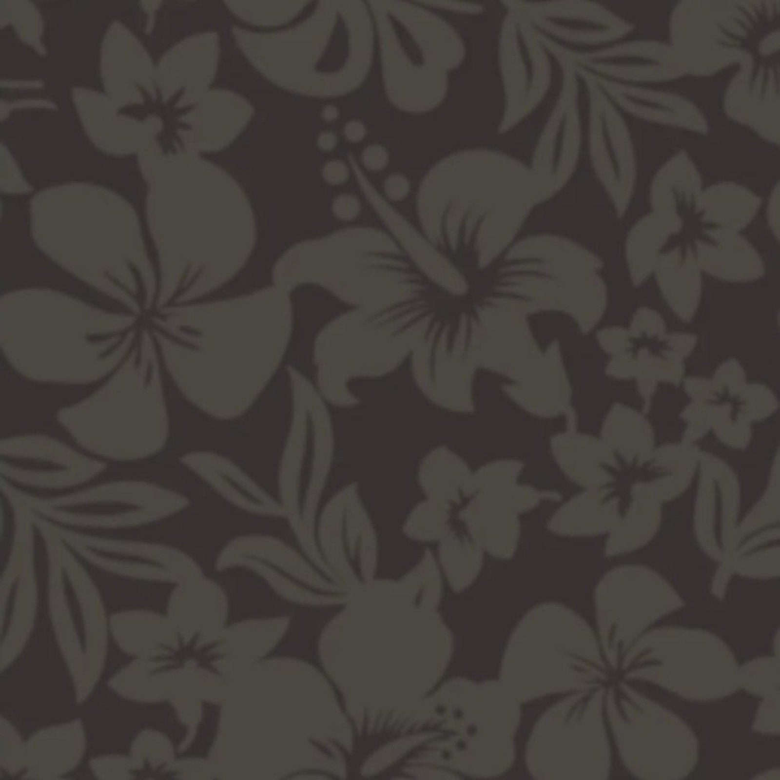 Acacia Swimwear Mateo Bikini Bottom - Taha'a | Alternate view